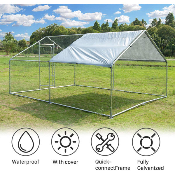 Tucker Murphy Pet™ Blumejr Chicken Coop Wayfair